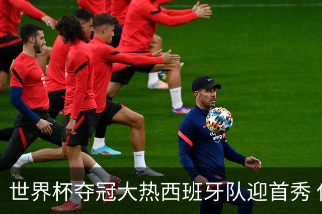 世界杯夺冠大热西班牙队迎首秀 伊朗队入境美国参赛